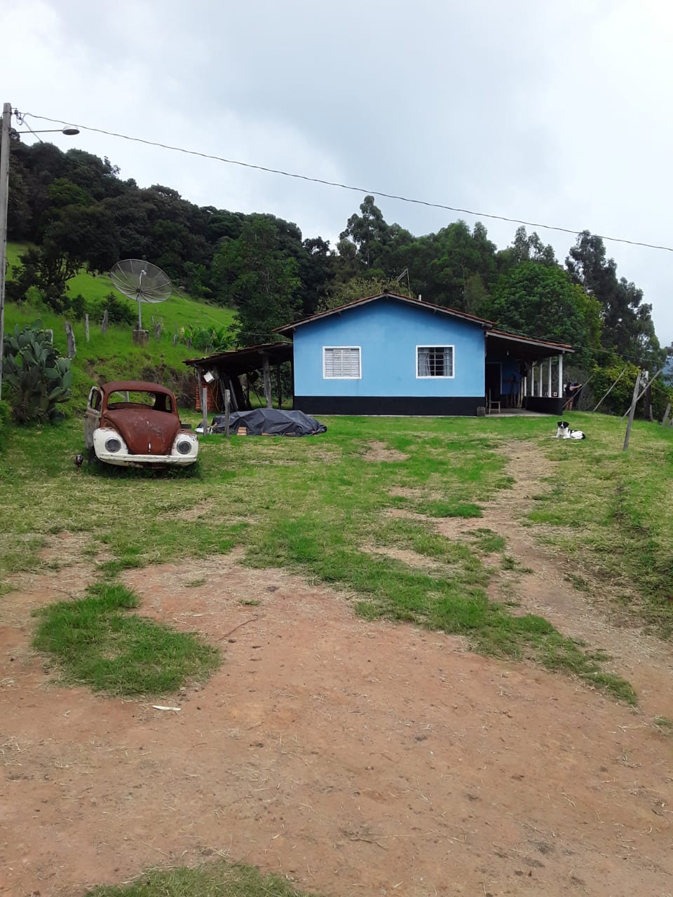 Sítio com casa , 2 nascentes, terreno para pecuária e plantio |Toledo - MG | código 801