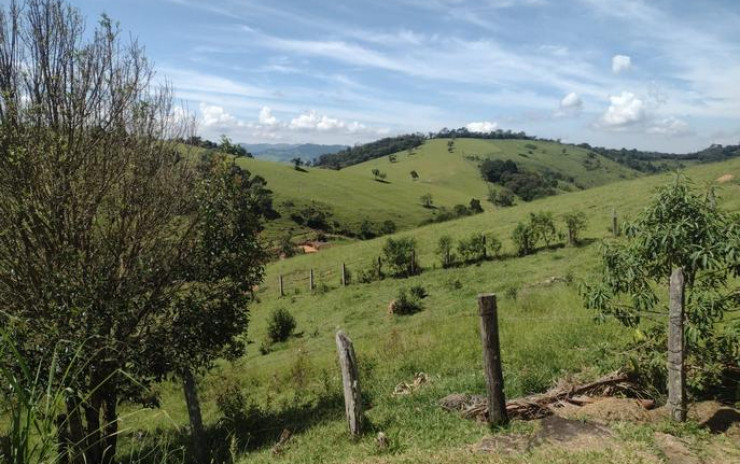 Sítio - excelente terreno para plantio ou criação de gado | Itapeva - MG | código 814