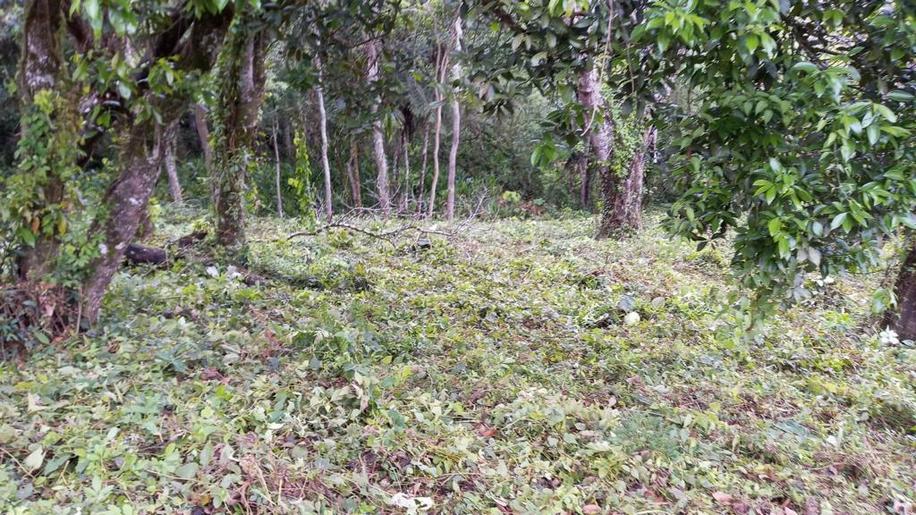 Terreno para chácara com linda vista panorâmica | Extrema - MG | código 816