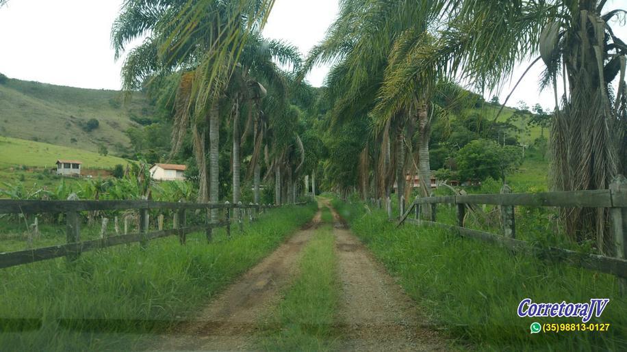 Sitio com piscina, salão de festa, 6 lagos, córrego, varias casas | Itapeva - MG | código 820