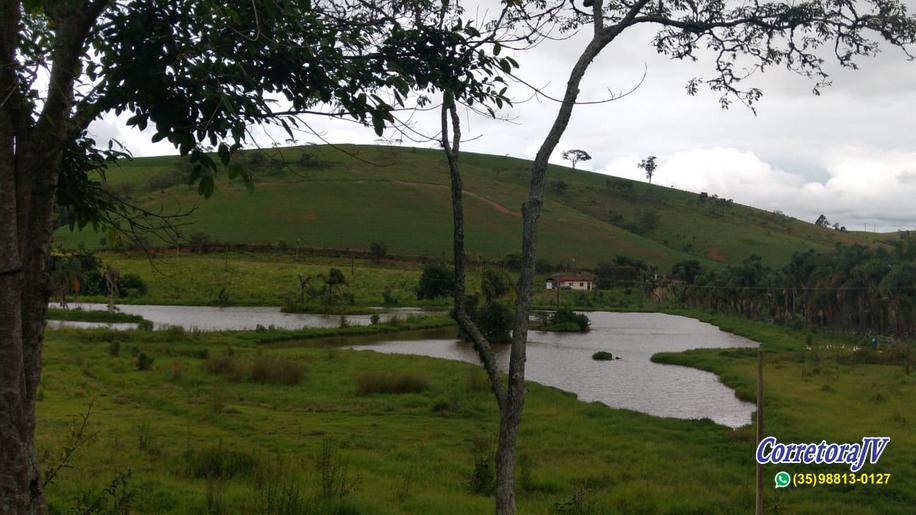 Sitio com piscina, salão de festa, 6 lagos, córrego, varias casas | Itapeva - MG | código 820