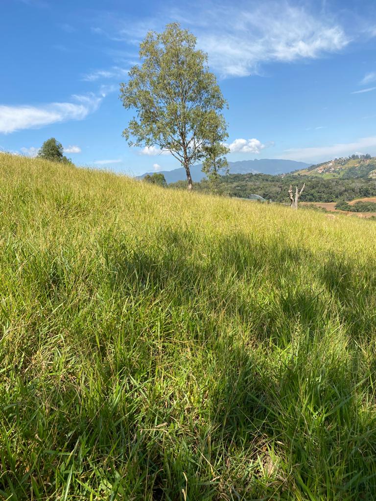 Terreno com vista panorâmica, bom para montar chácara | Extrema - MG | código 824