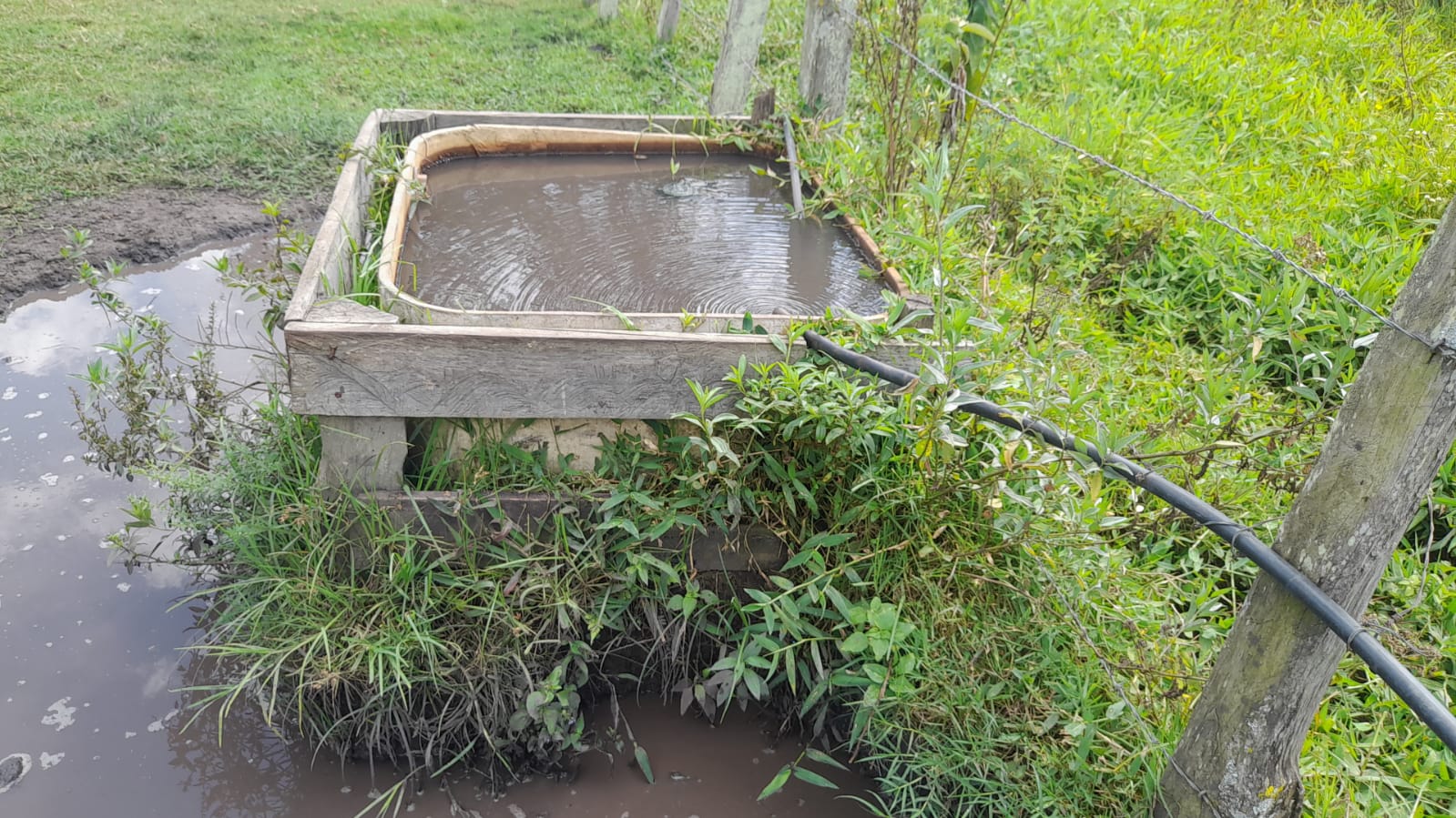 Sitio com lago, para plantio ou pecuária, topografia quase plana | Itapeva - MG | código 852