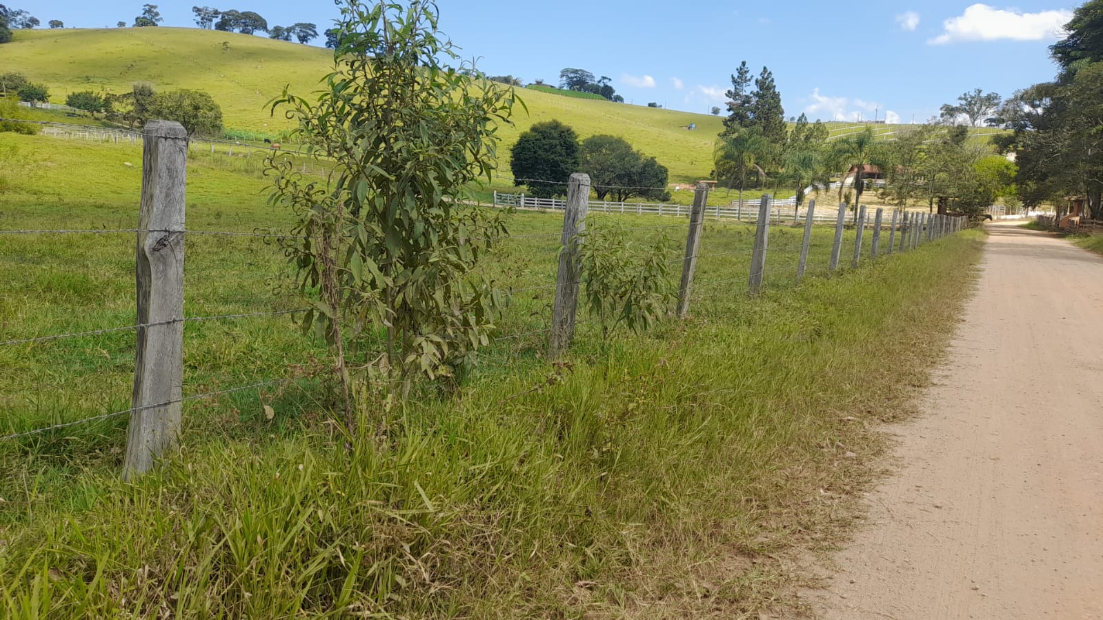 Sitio com lago, para plantio ou pecuária, topografia quase plana | Itapeva - MG | código 852