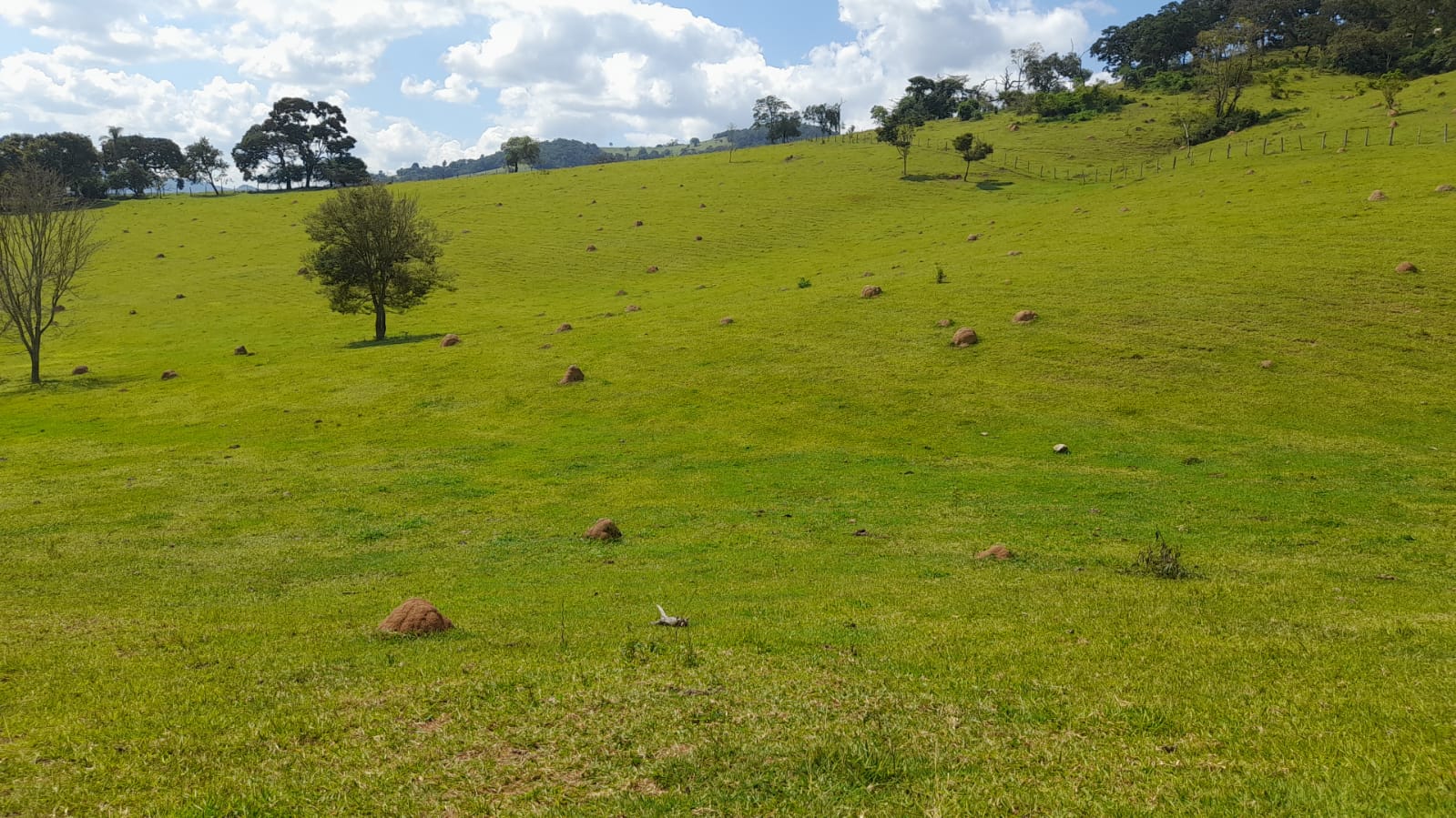 Sitio com lago, para plantio ou pecuária, topografia quase plana | Itapeva - MG | código 852