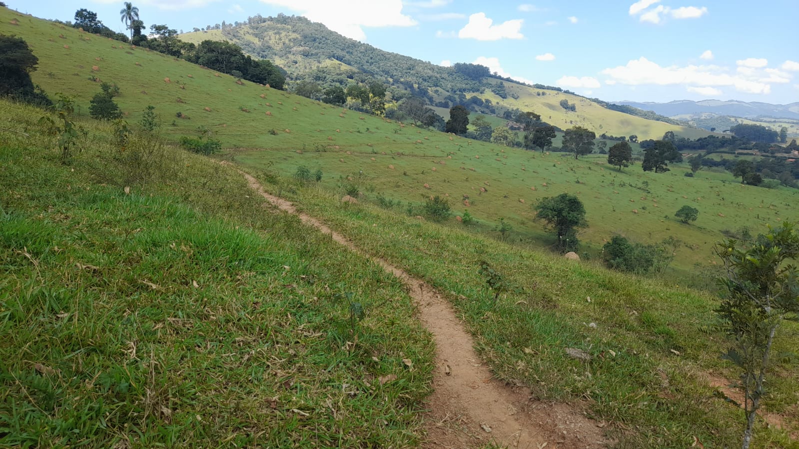 Sitio com lago, para plantio ou pecuária, topografia quase plana | Itapeva - MG | código 852