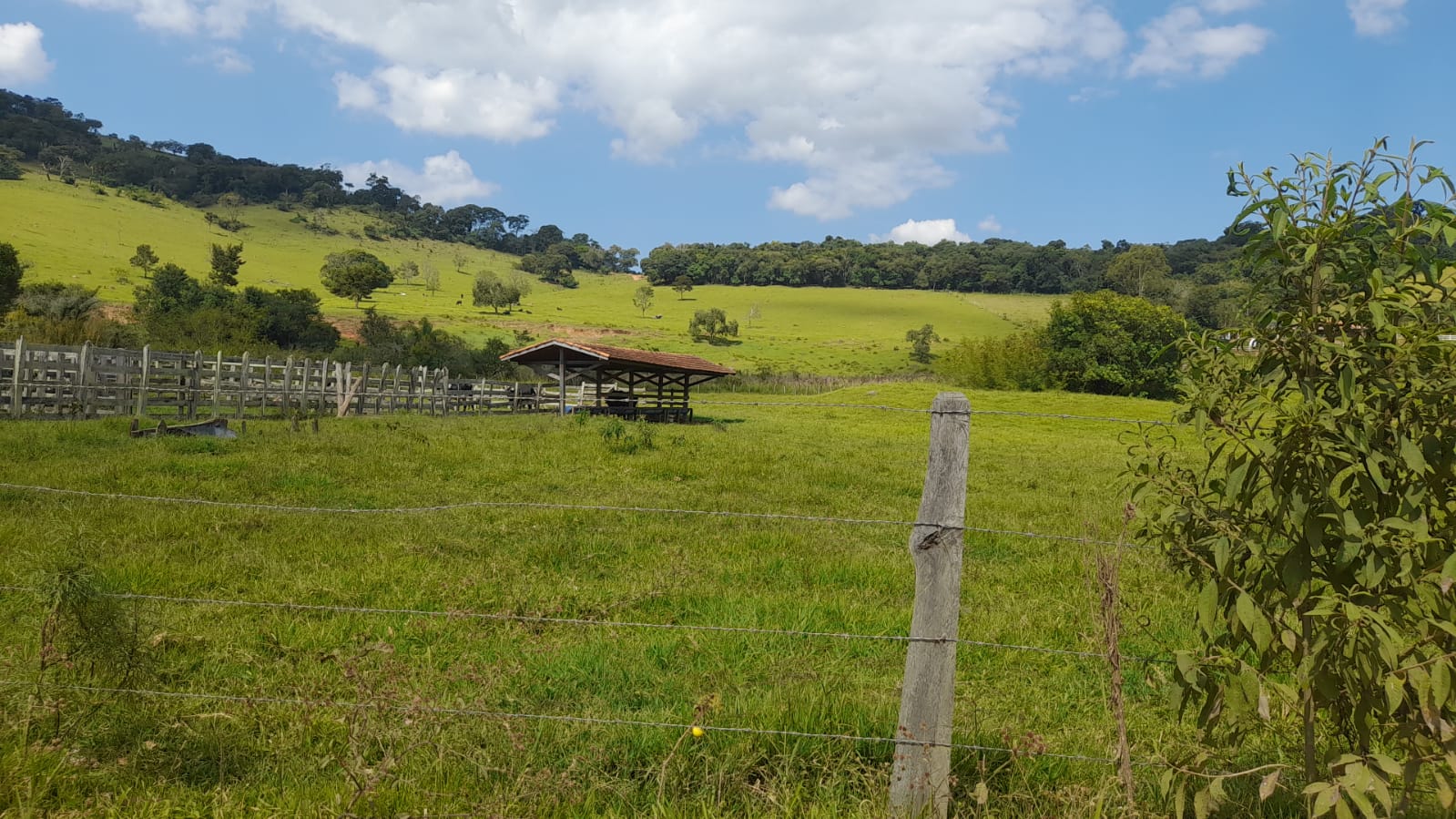 Sitio com lago, para plantio ou pecuária, topografia quase plana | Itapeva - MG | código 852