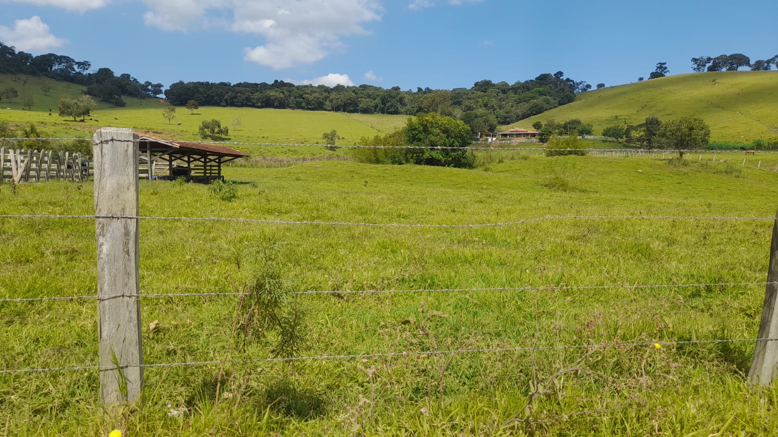 Sitio com lago, para plantio ou pecuária, topografia quase plana | Itapeva - MG | código 852