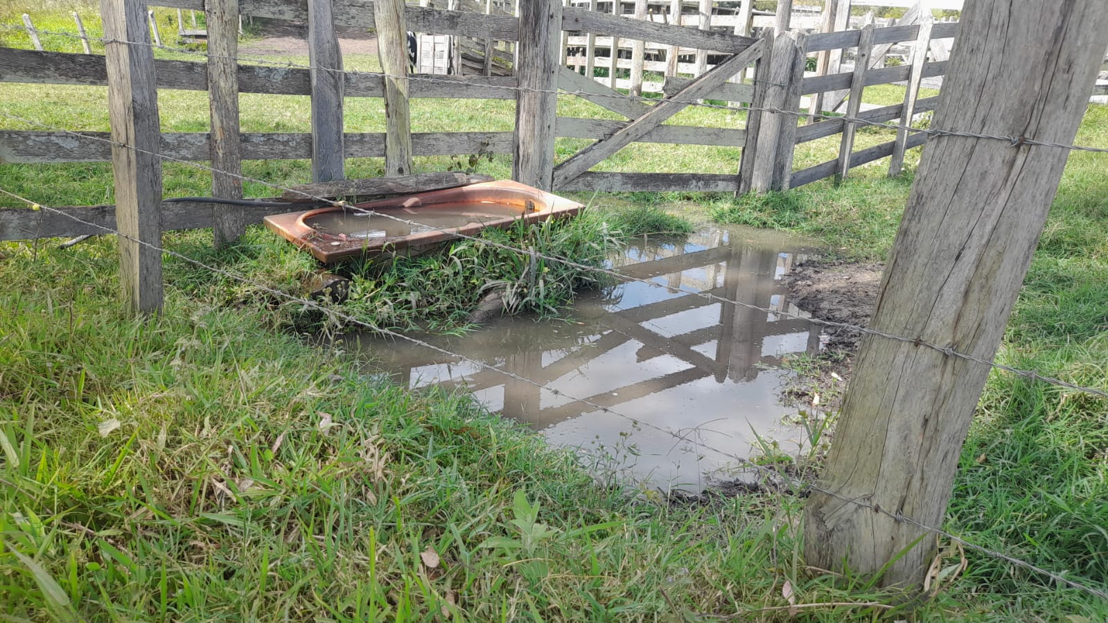 Sitio com lago, para plantio ou pecuária, topografia quase plana | Itapeva - MG | código 852