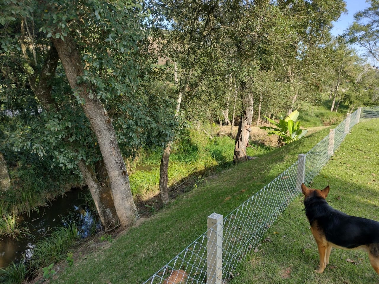 Chácara - Com  lagos grandes, casa com 4 dormitórios, 2 suítes | Toledo - MG | código 853