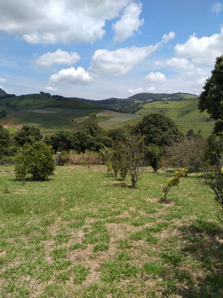 Chácara 3 km da cidade,  asfalto na porta gramada, pomar | Toledo - MG | código 869