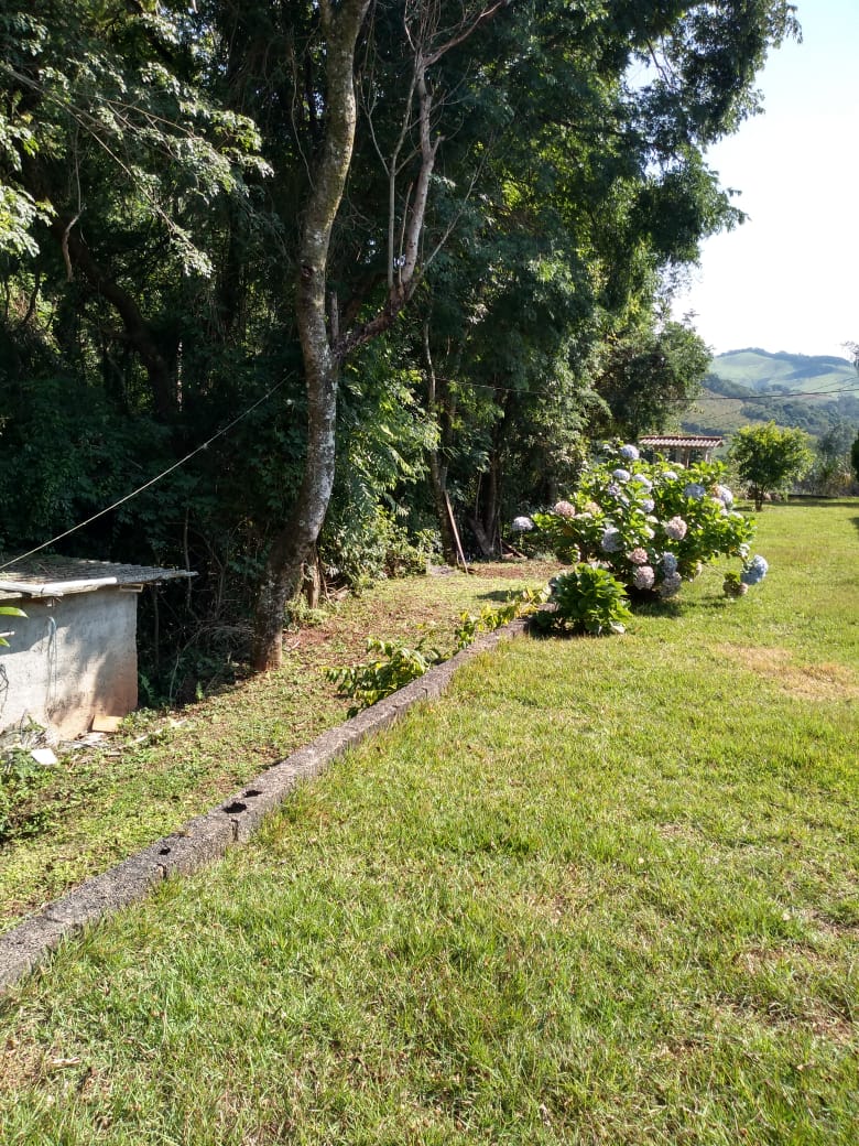 Chácara 3 km da cidade,  asfalto na porta gramada, pomar | Toledo - MG | código 869