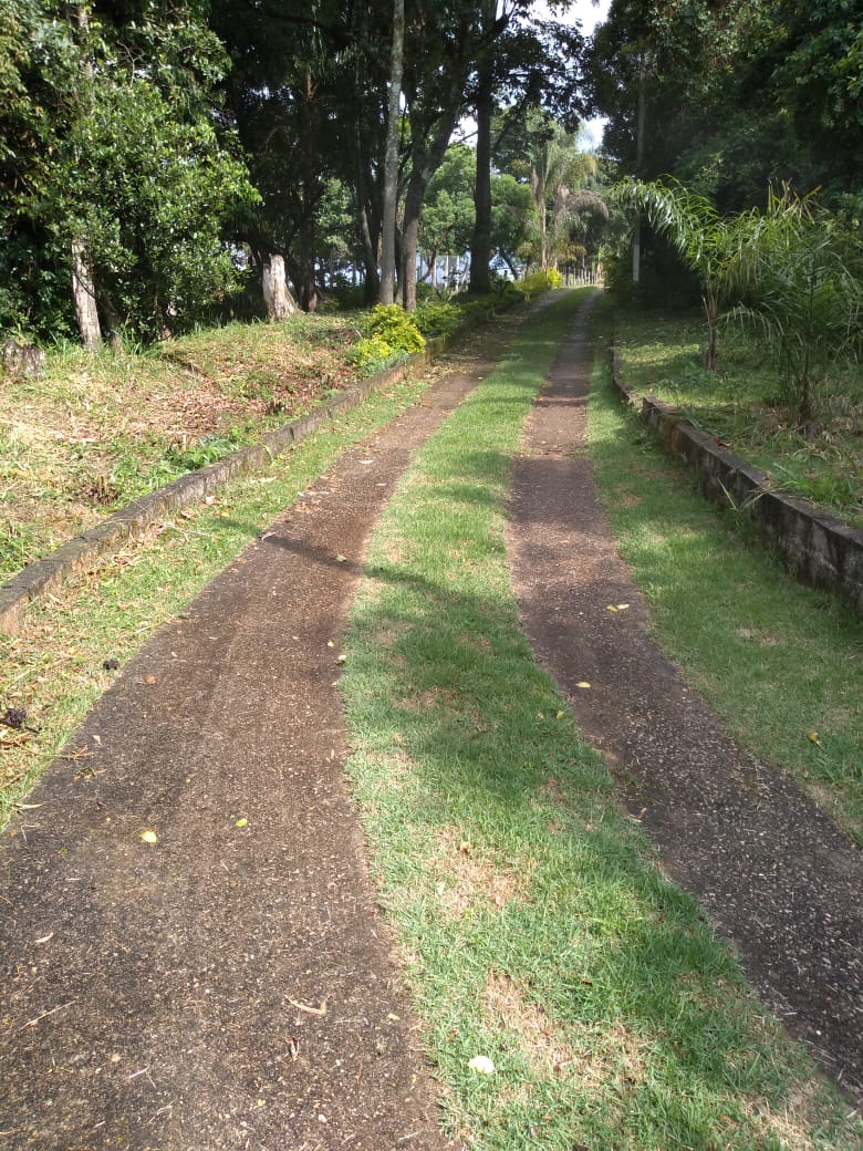 Chácara 3 km da cidade,  asfalto na porta gramada, pomar | Toledo - MG | código 869