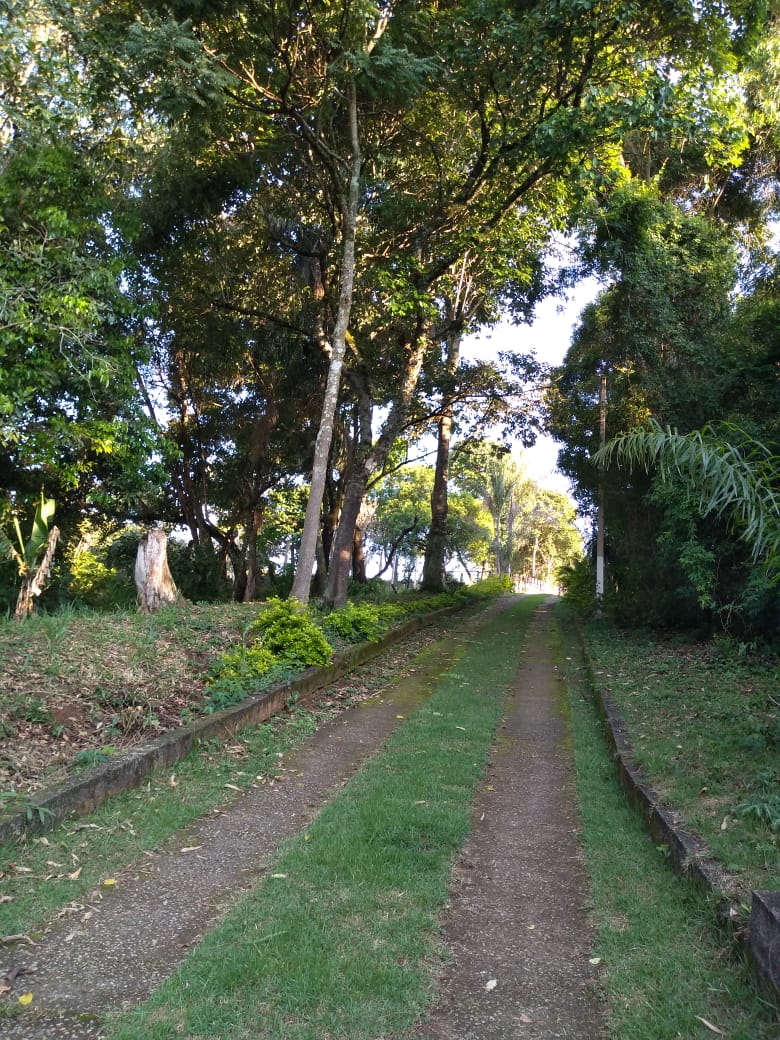 Chácara 3 km da cidade,  asfalto na porta gramada, pomar | Toledo - MG | código 869