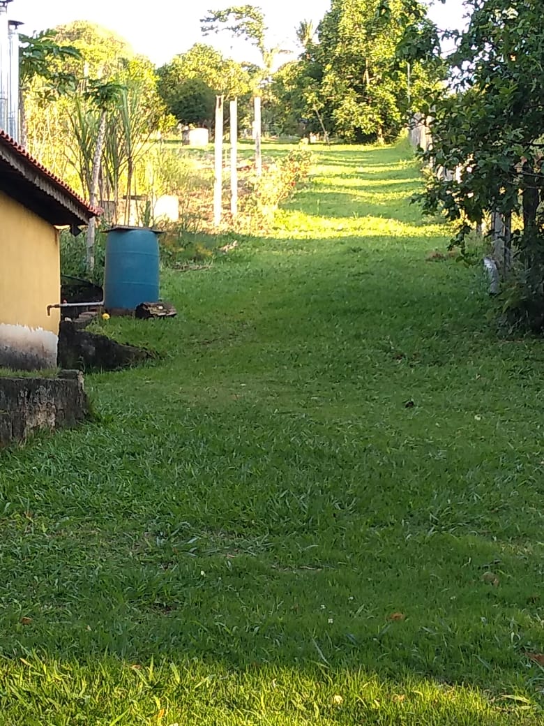 Chácara 3 km da cidade,  asfalto na porta gramada, pomar | Toledo - MG | código 869