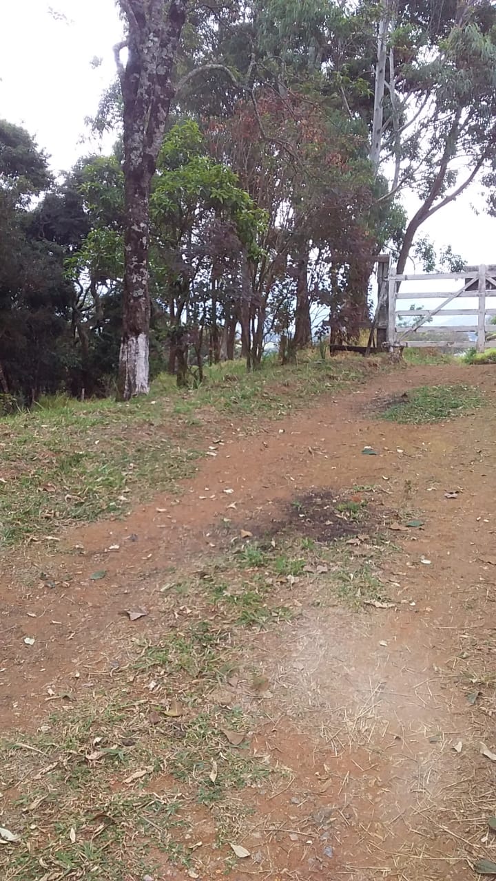 Sítio com casa, cachoeira, pomar, horta. riquíssimo em água | Toledo - MG | código 870