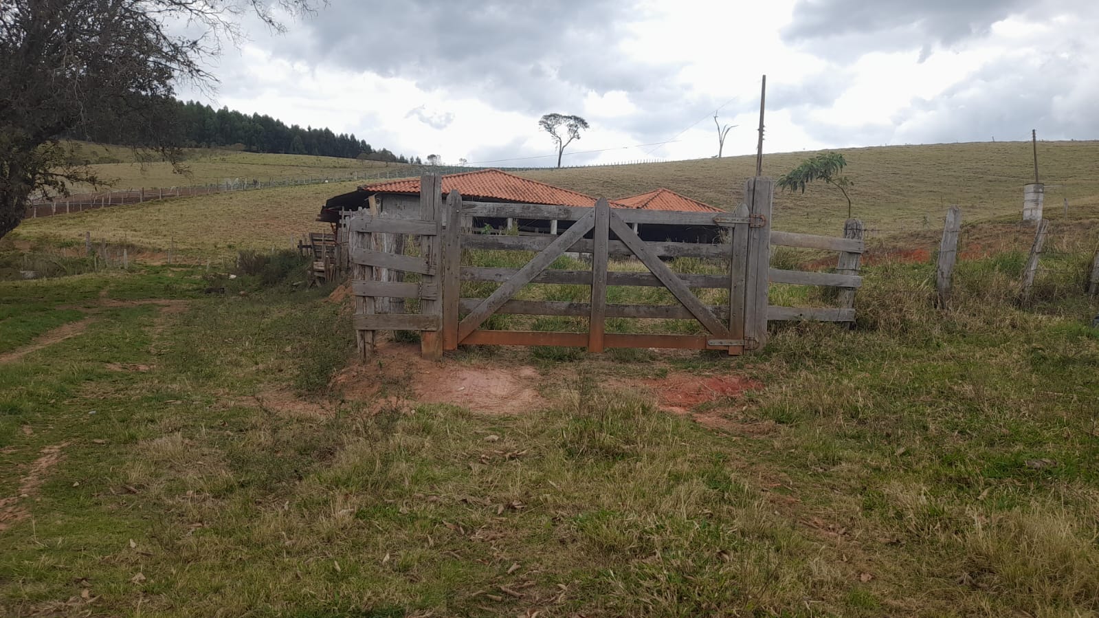 Sitio com represa grande, pouco aclive, curral, Em Toledo MG | código 896