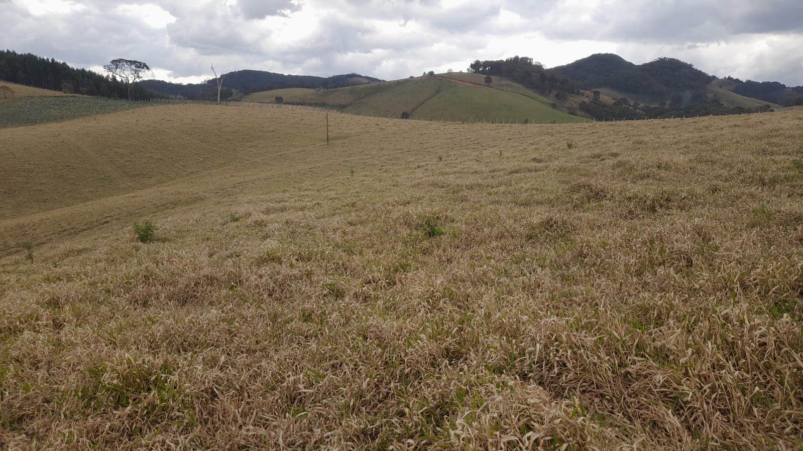 Sitio com represa grande, pouco aclive, curral, Em Toledo MG | código 896