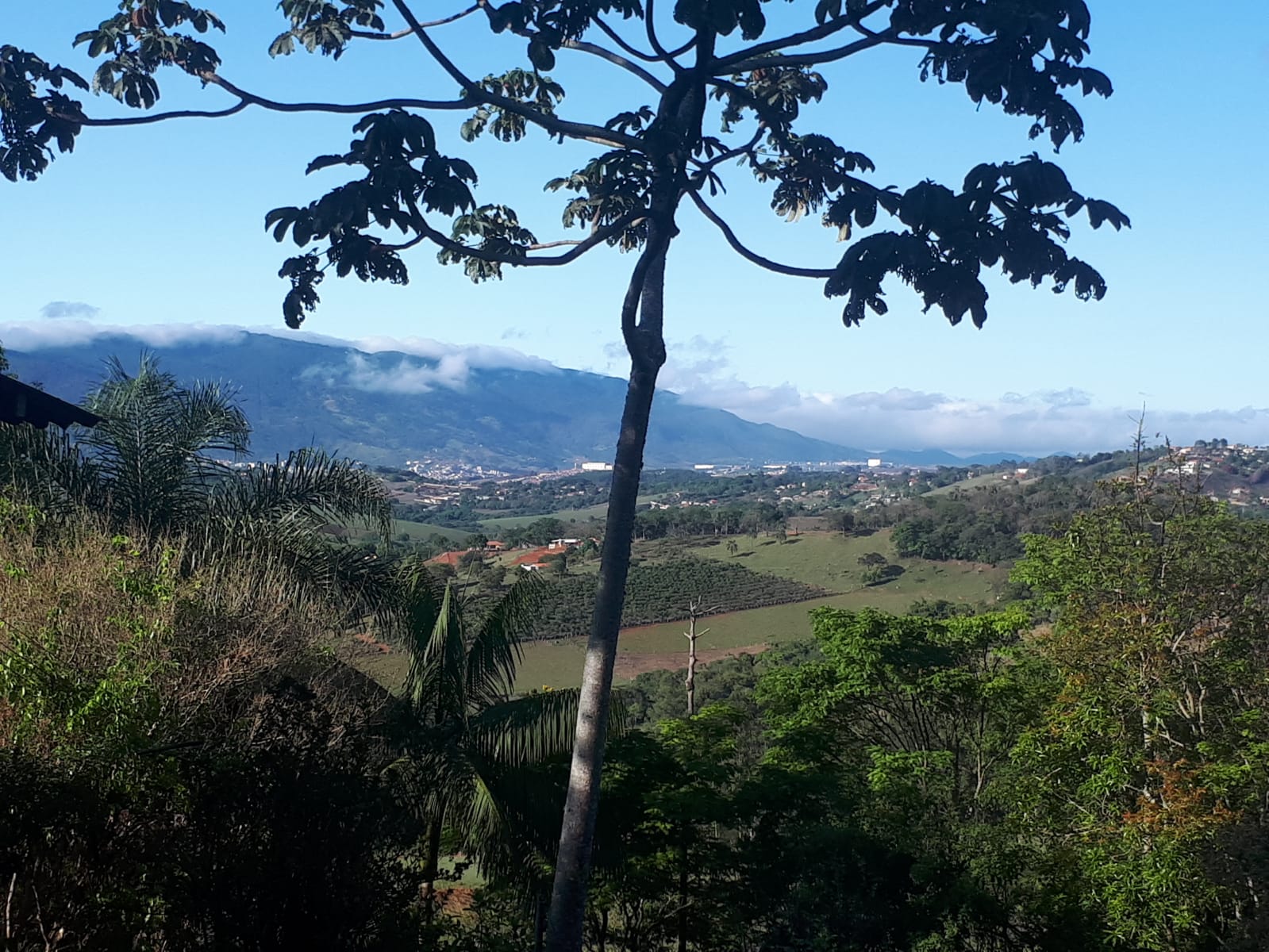 Sítio próximo da cidade, casa tijolo à vista + casa de caseiro | Extrema - MG | código 907