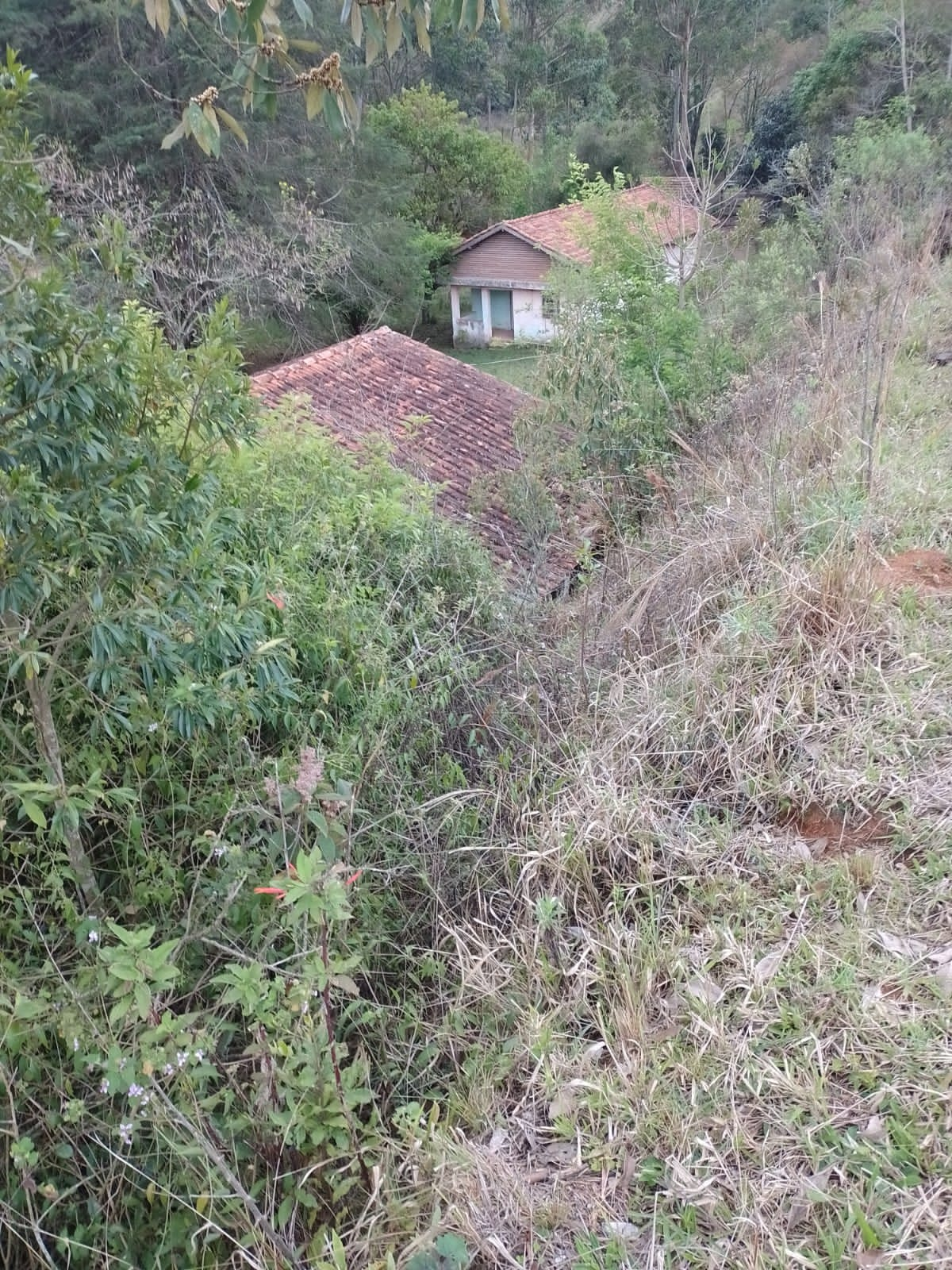 Sítio com lago, nascente, casa com 4 quartos, local turístico | Camanducaia - MG | código 912