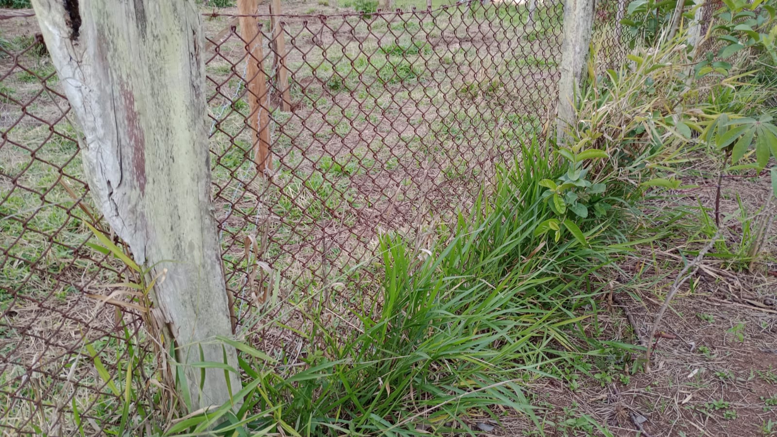 Terreno para formar chácara; com nascente ..local tranquilo | Extrema - MG | código 925