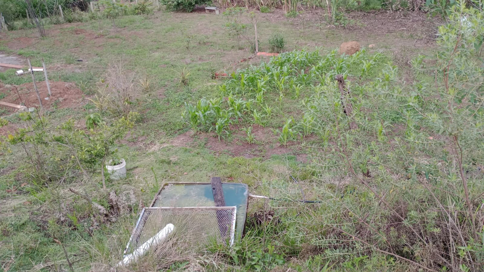 Terreno para formar chácara; com nascente ..local tranquilo | Extrema - MG | código 925