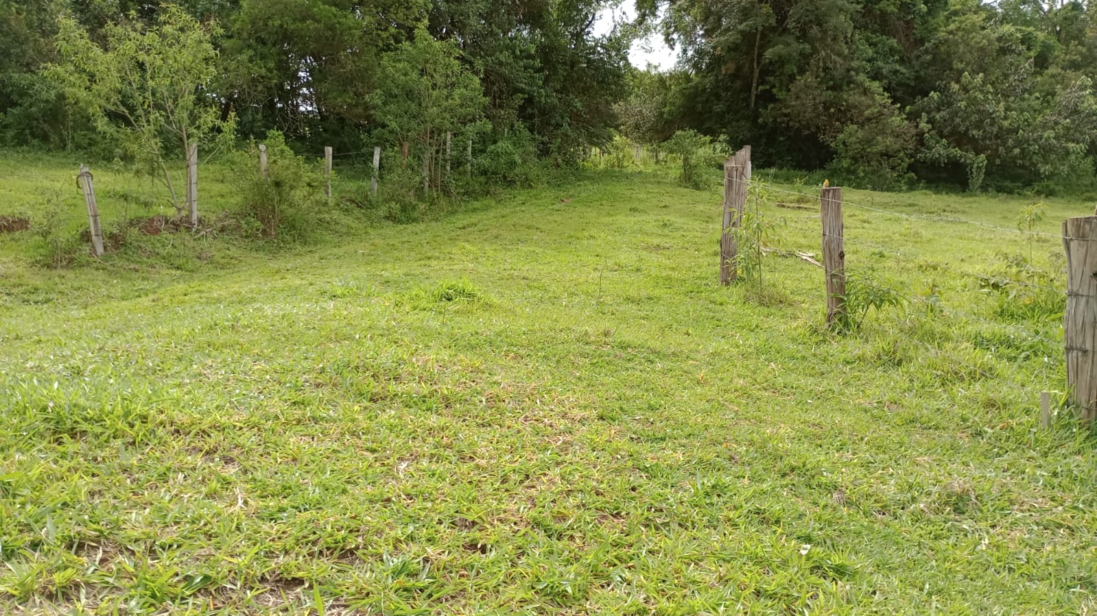 Área Industrial apenas 50 metros da Fernão Dias | Cambuí - MG | código 930