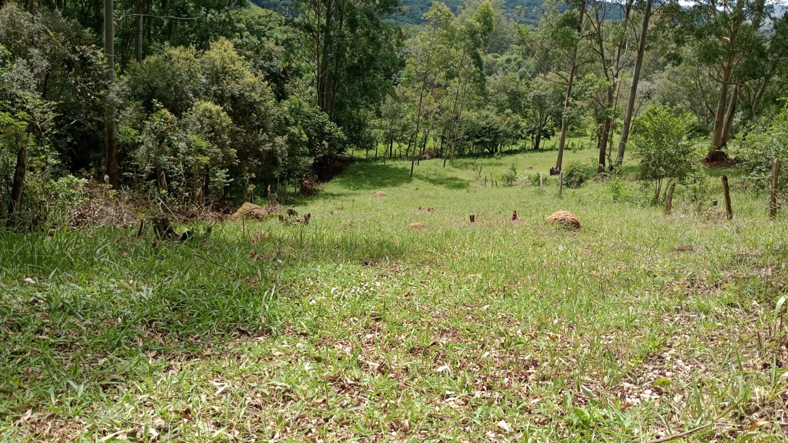 Terreno ótimo para formar chacrinha com boa chegada | Extrema - MG  | código 976