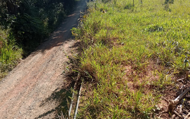 Lindo Terreno com nascente  para chácara. 6.000 mts | Extrema - MG  | código 994