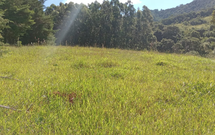 Lindo Terreno com nascente  para chácara. 6.000 mts | Extrema - MG  | código 994