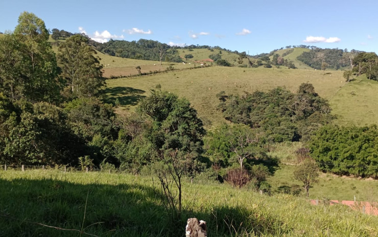 Lindo Terreno com nascente  para chácara. 6.000 mts | Extrema - MG  | código 994