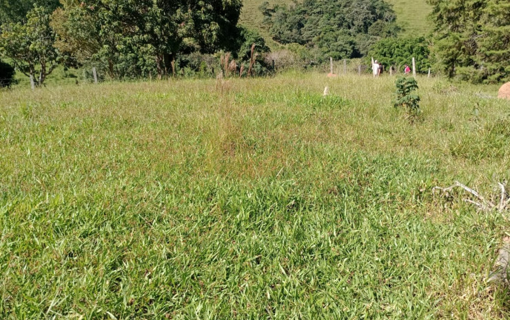 Lindo Terreno com nascente  para chácara. 6.000 mts | Extrema - MG  | código 994